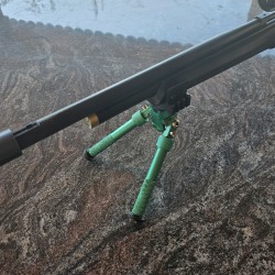 Stoeger