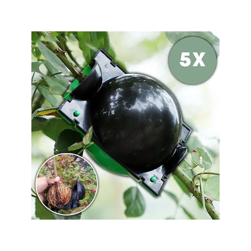 Moule de Propagation des Plantes – Boîte d’Enracinement pour la Production de Jeunes Plants | 