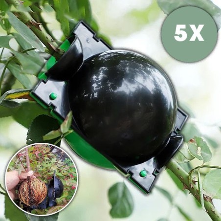 Plant Propagation Mold β Root Formation Box for Making Seedlings |