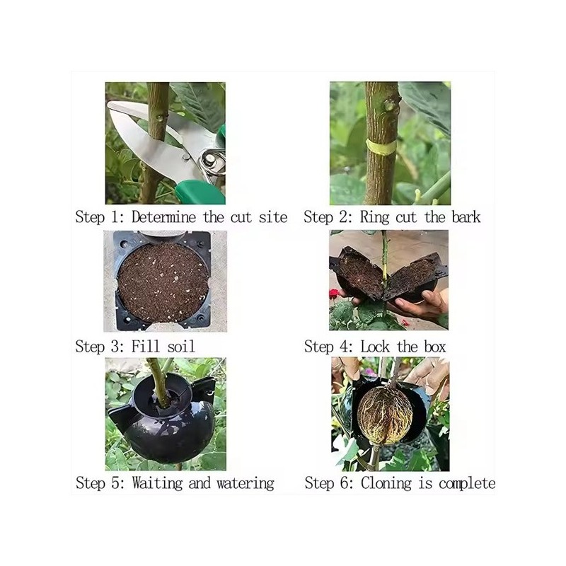Moule de Propagation des Plantes – Boîte d’Enracinement pour la Production de Jeunes Plants | 