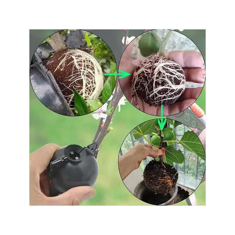 Moule de Propagation des Plantes – Boîte d’Enracinement pour la Production de Jeunes Plants | 