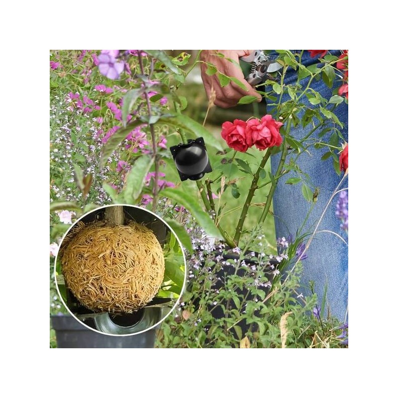 Moule de Propagation des Plantes – Boîte d’Enracinement pour la Production de Jeunes Plants | 