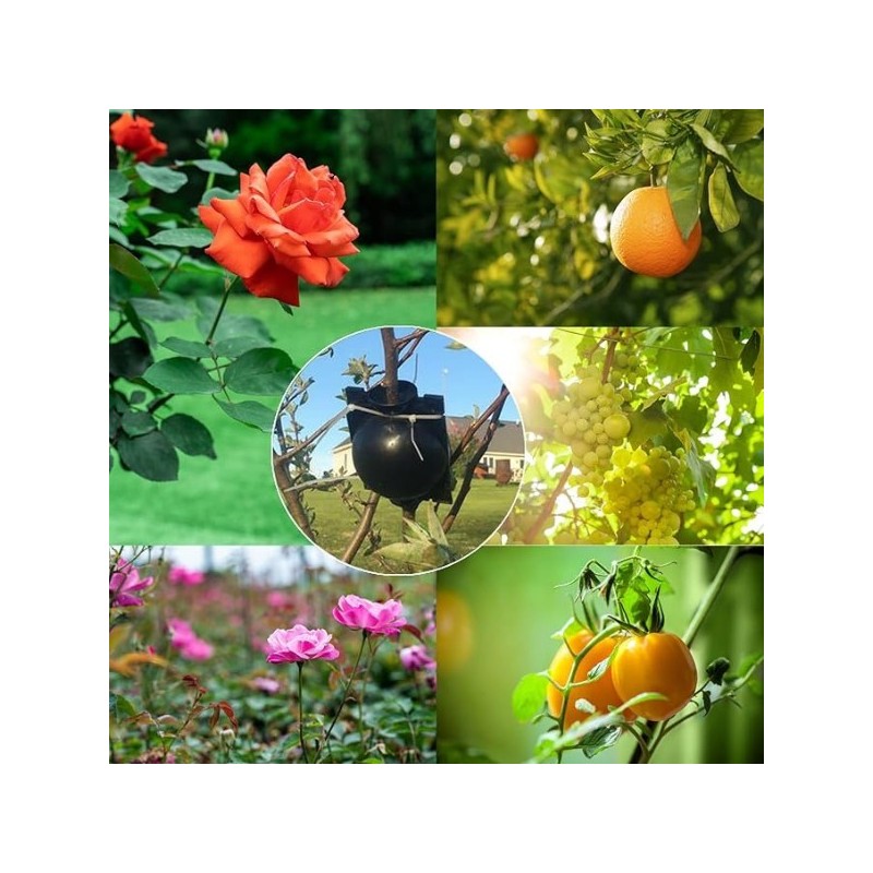 Moule de Propagation des Plantes – Boîte d’Enracinement pour la Production de Jeunes Plants | 