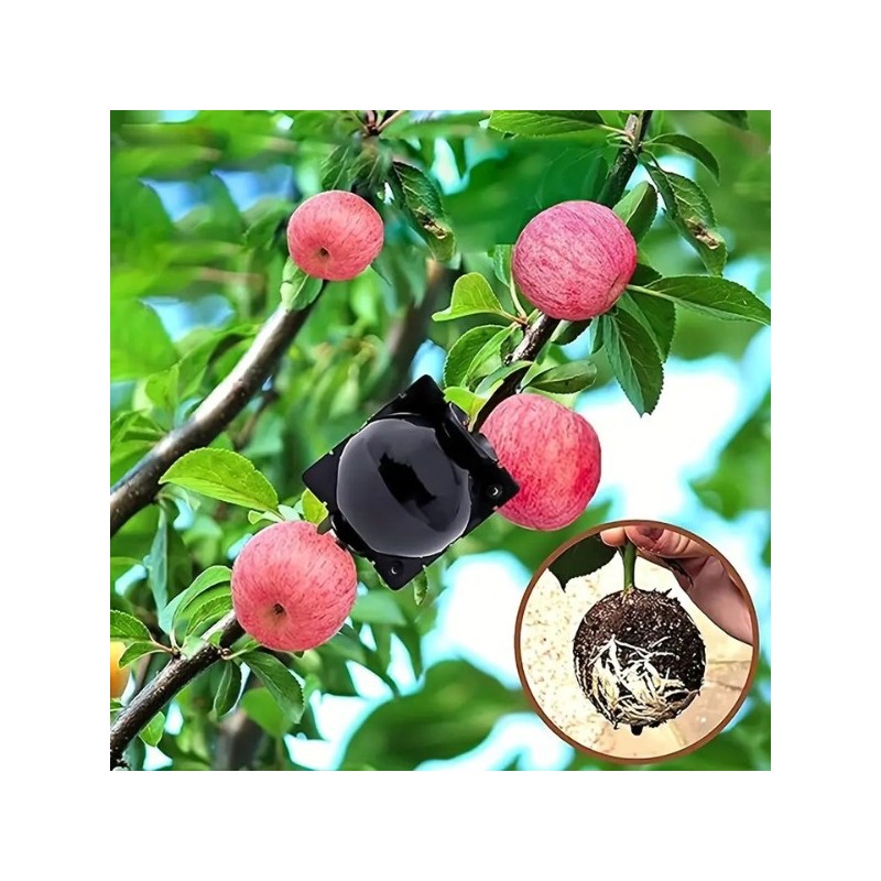 Növény szaporító forma – gyökereztető doboz palánták készítéséhez | 