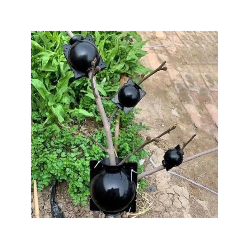 Moule de Propagation des Plantes – Boîte d’Enracinement pour la Production de Jeunes Plants | 