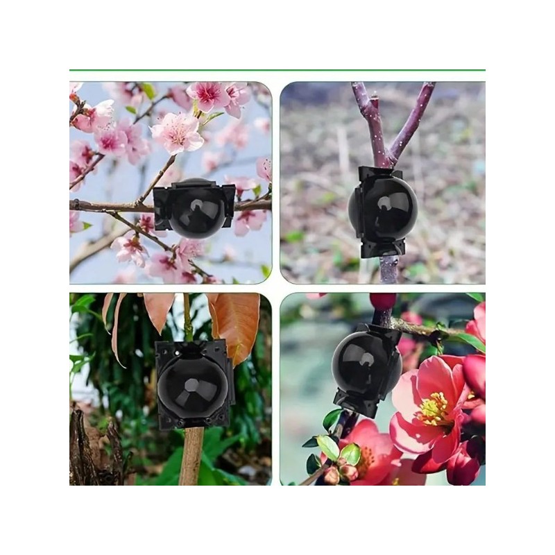 Kaloúpi Anaparagogís Fytón – Koutí Rizovolías gia Paragogí Fytaríon | 