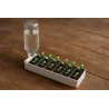 Självbevattnande Kruka för Plantor (PET-flasksystem) - Price: €8 - 