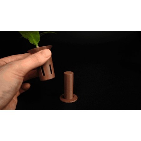 Kit de Sementes Autoirrigável com Sistema Modular de Cultivo | 