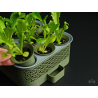 Kit de Semis Auto-Arrosant avec Système Modulaire de Culture | 