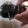 Avocado 4-Kern Anzuchtschale – Set zum Ziehen von Avocadopflanzen | 